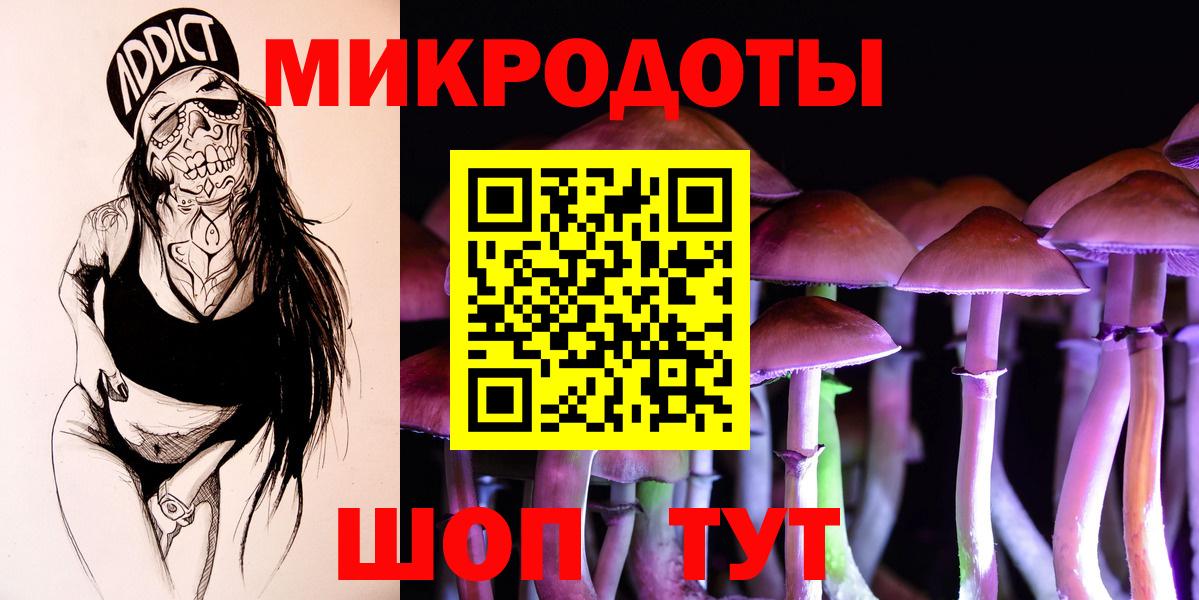 Псилоцибиновые грибы Psilocybe  Вход с VPN  Элиста 