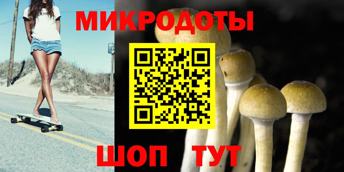 Галлюциногенные грибы мухоморы Элиста